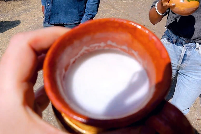 pulque drink